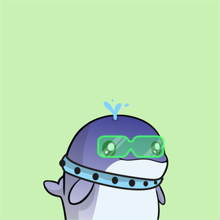 Whacky Whales #2124, as captured in snapshot 2026-08-21T21-15Z