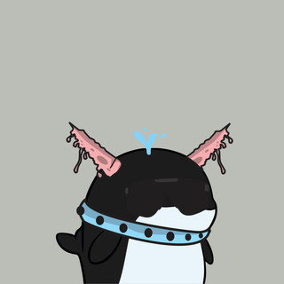 Whacky Whales #2713, as captured in snapshot 2026-08-21T21-15Z
