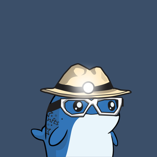 Whacky Whales #4770, as captured in snapshot 2026-08-21T21-15Z