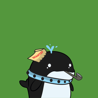 Whacky Whales #5476, as captured in snapshot 2026-08-21T21-15Z