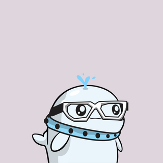 Whacky Whale #8063