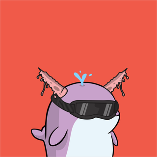 Whacky Whales #8398, as captured in snapshot 2026-08-21T21-15Z