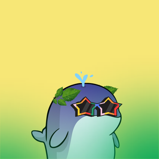 Whacky Whales #8807, as captured in snapshot 2026-08-21T21-15Z