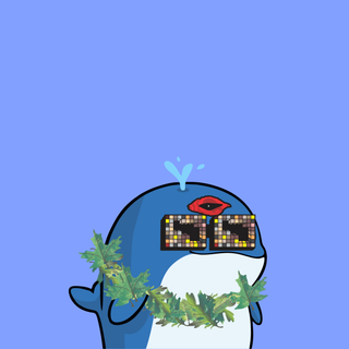 Whacky Whales #8872, as captured in snapshot 2026-08-21T21-15Z